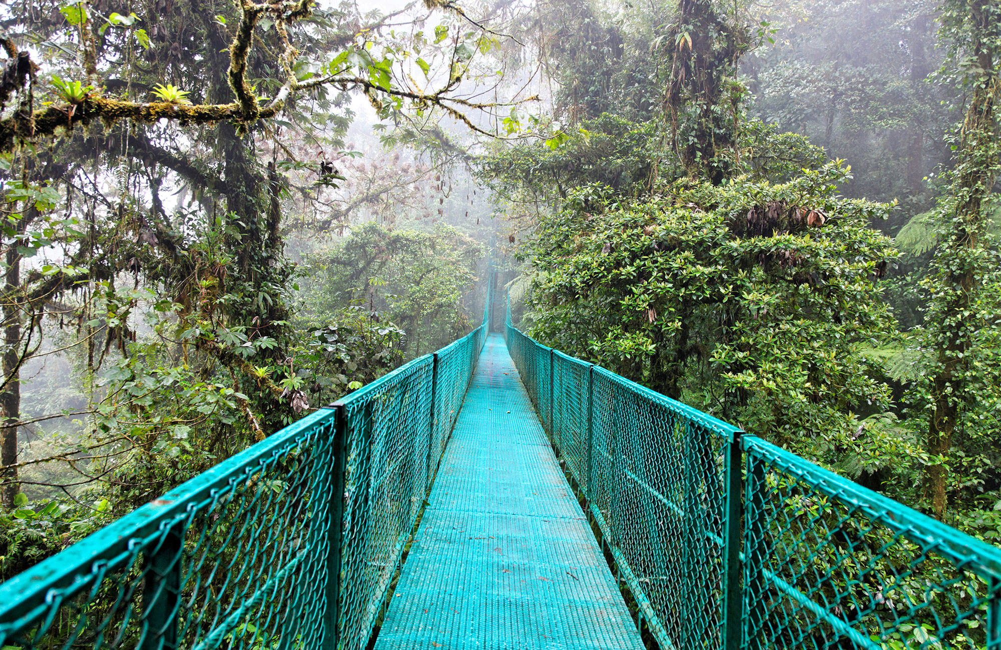 monteverde-costa-rica-hanging-bridge-cover