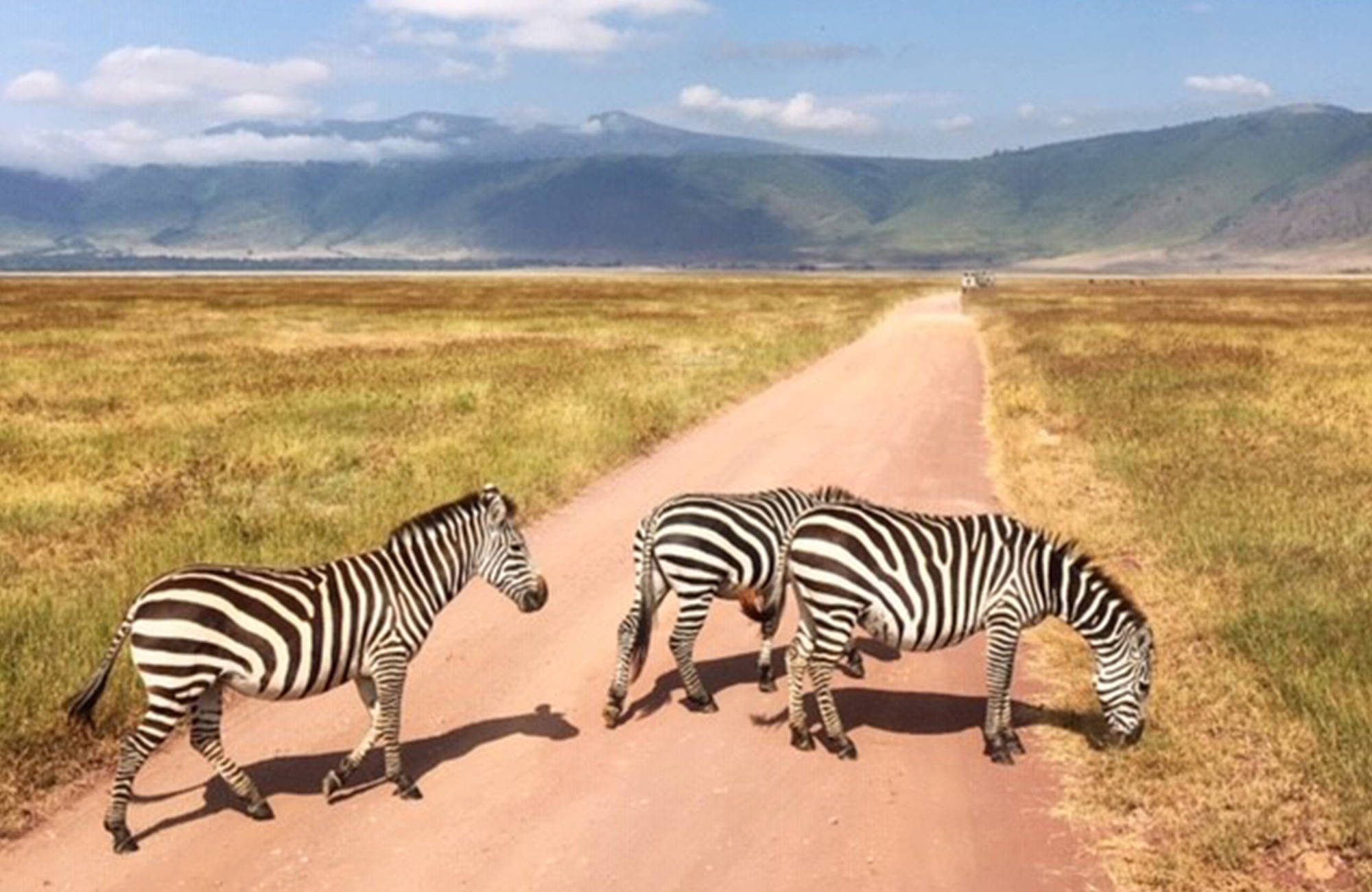 Kokemus Tansanian safarilta - KILROY