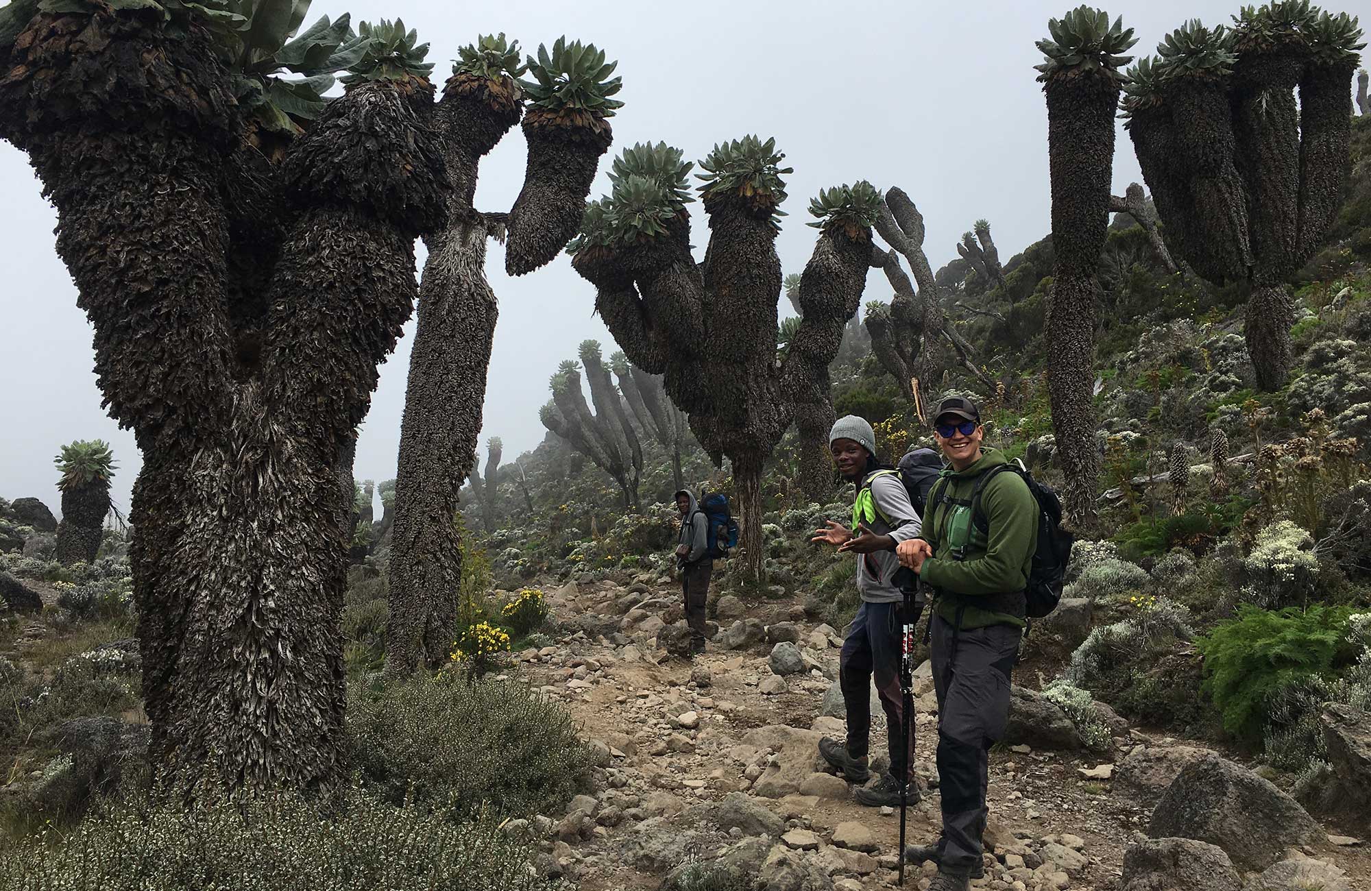Tanzania Kilimanjaro On The Way To The Summit