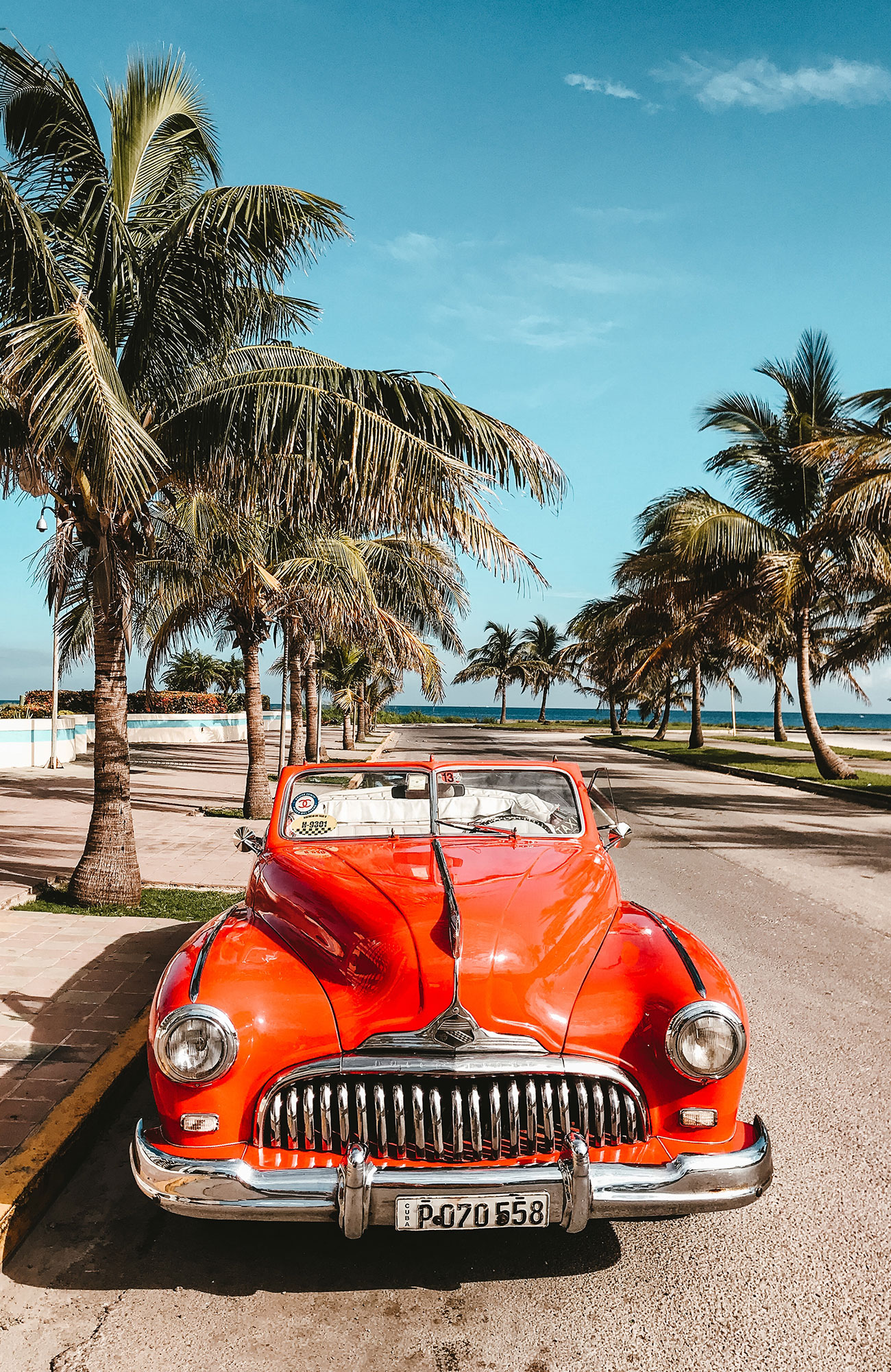 Cuba Havana Red Car Palmtrees