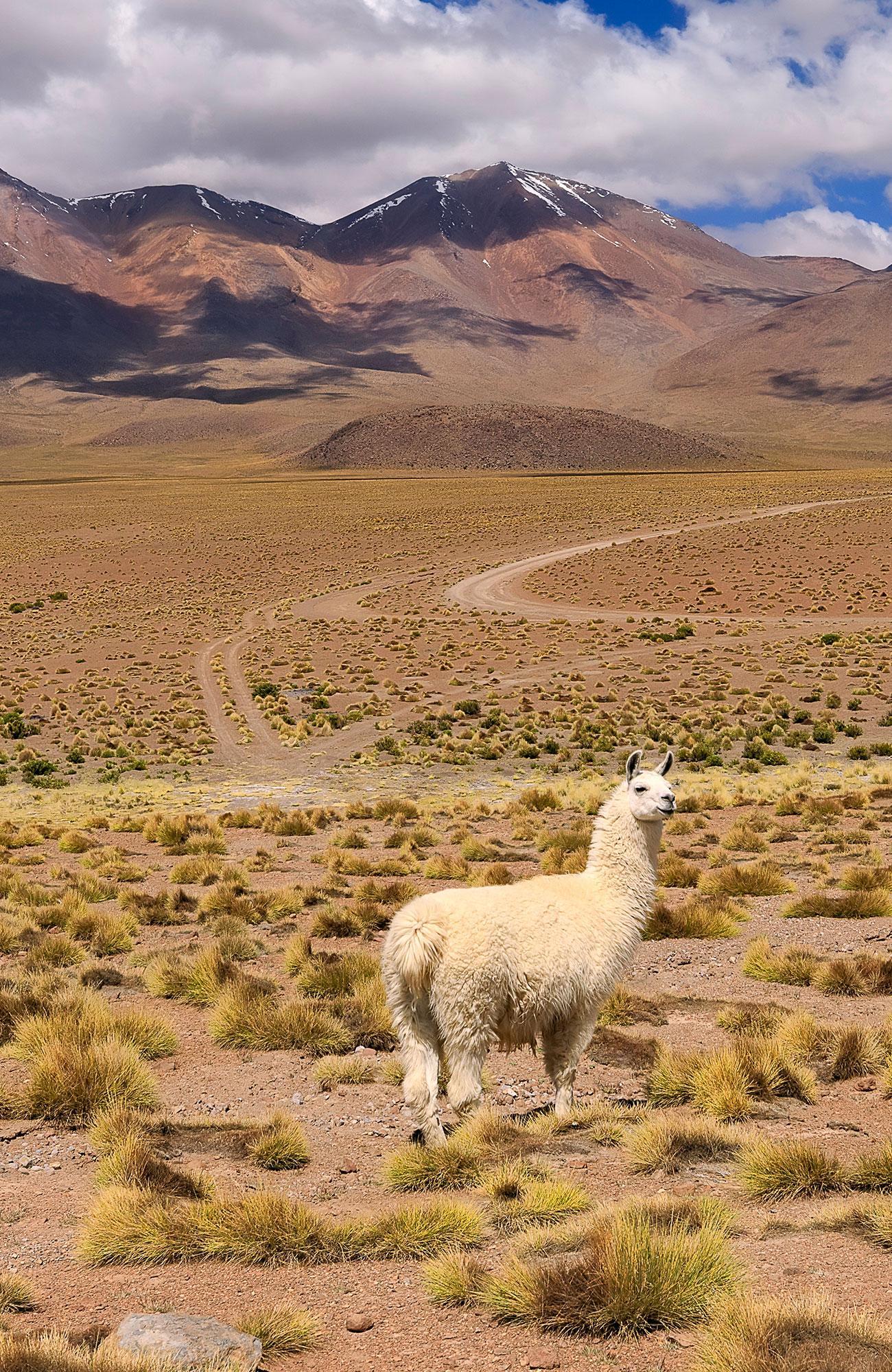 Vaellus Boliviassa - KILROY