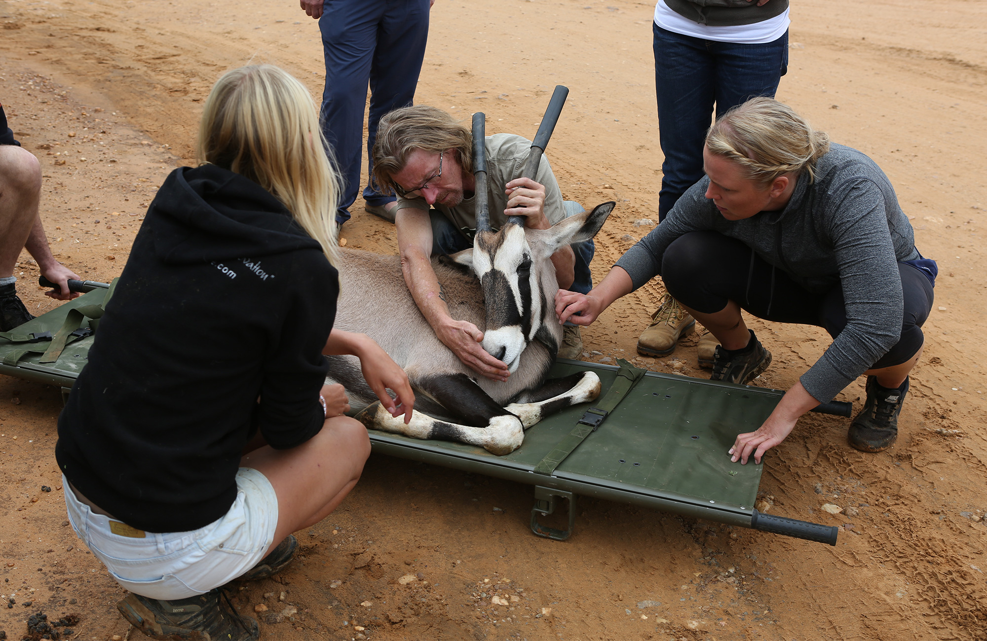 Vapaaehtoistyö Afrikassa - KILROY