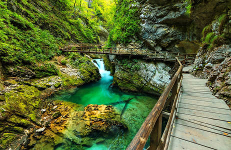 Bled Slovenia Lush Green Canyon