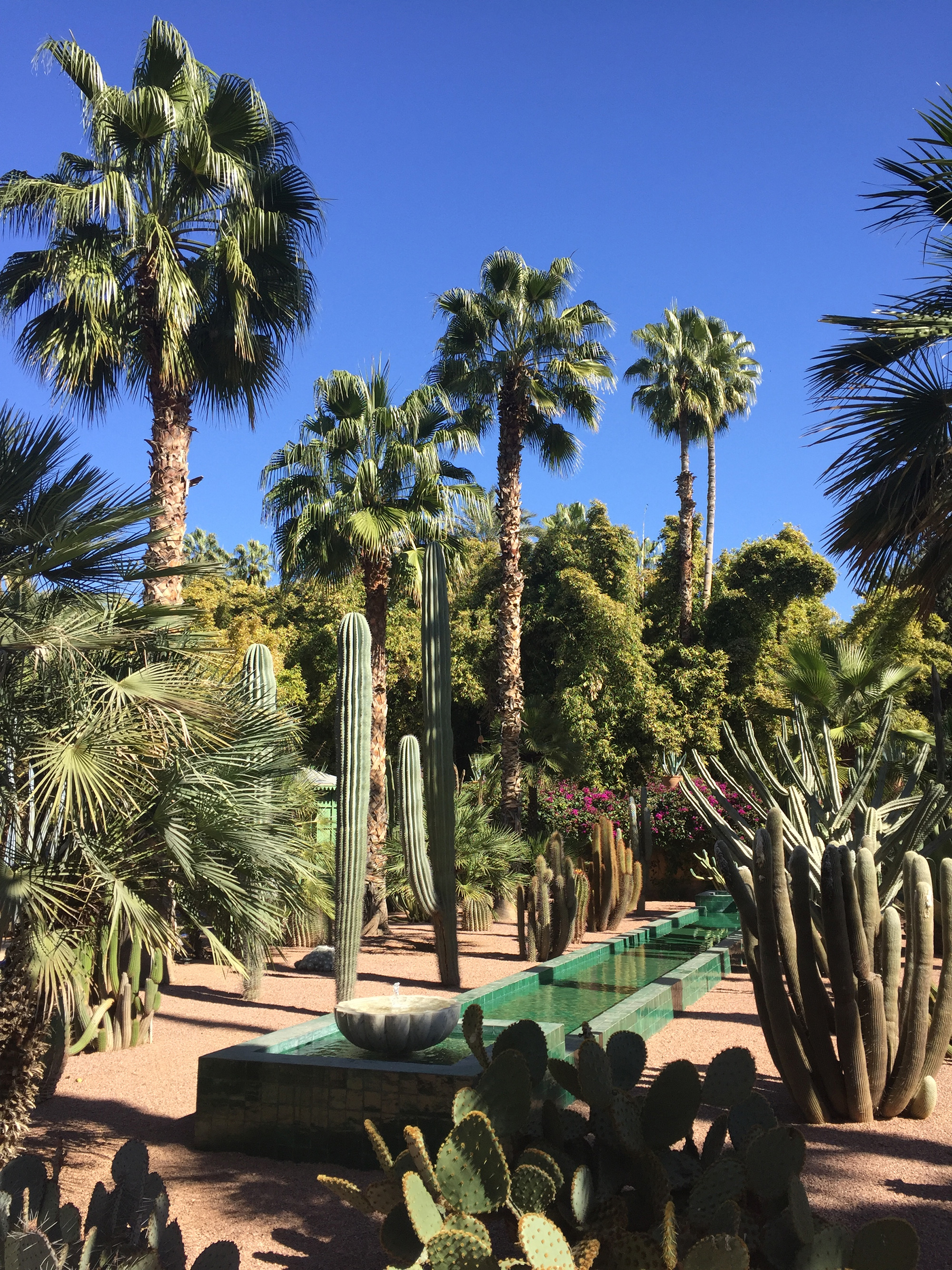 Marrocco Botanical Garden