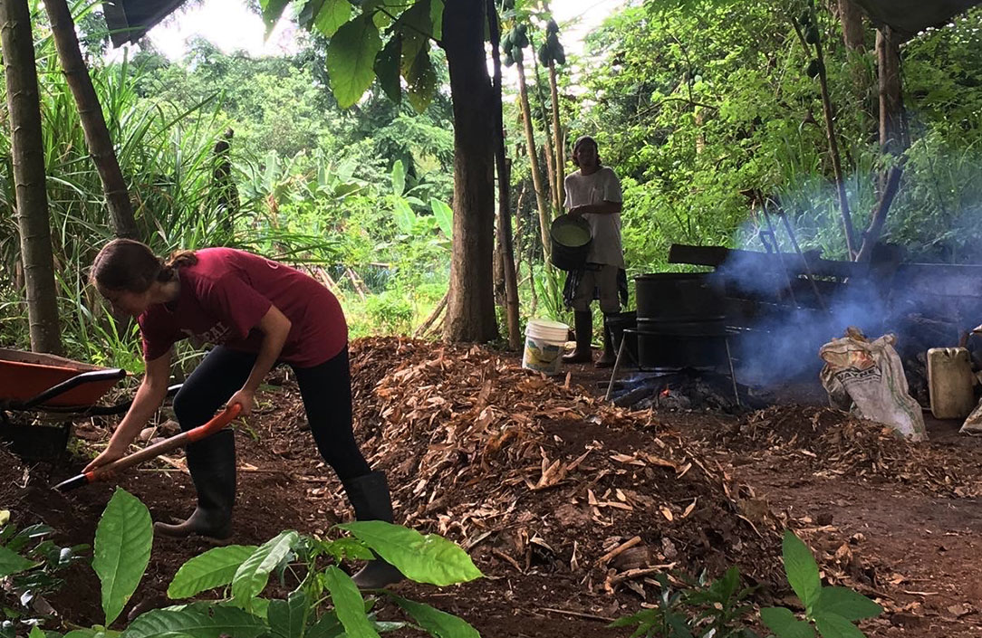 Dream Galapagos Farm Organic Agriculture Volunteering Galapagos In Ecuador