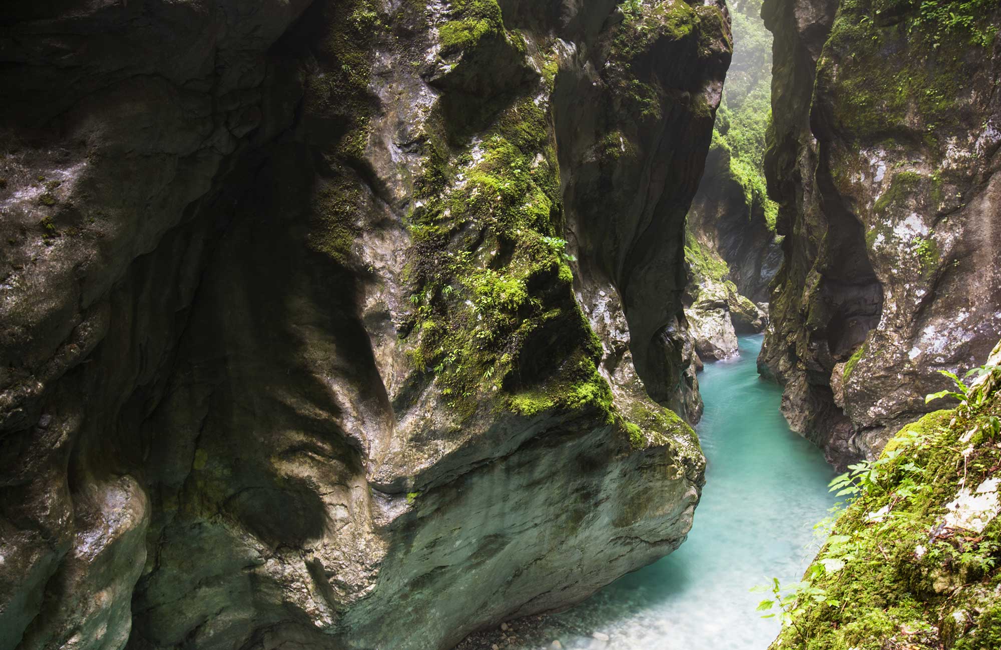 Slovenia Tolmin Gorge Triglav National Park Cover