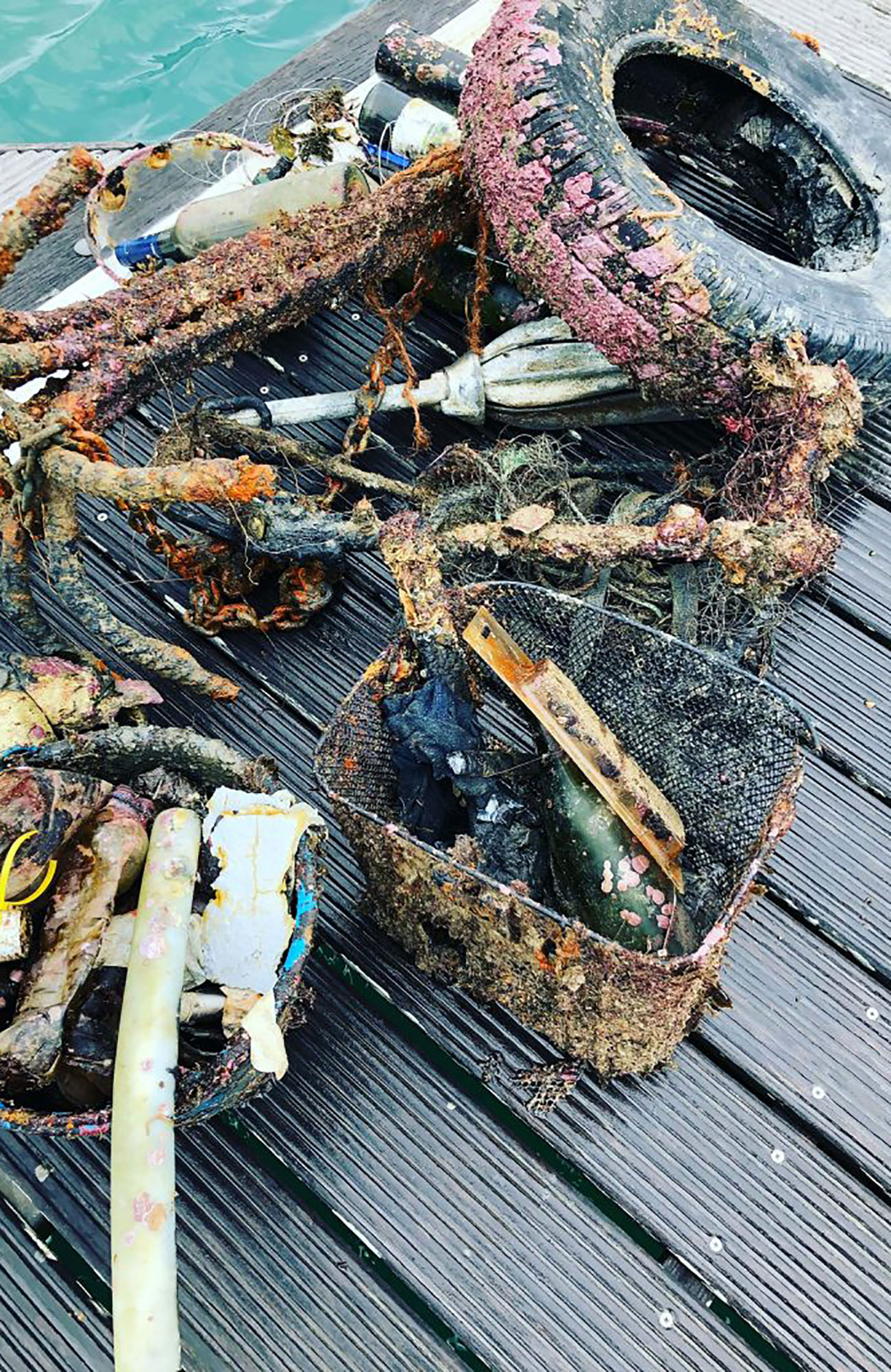 Volunteering Portugal Marine Conservation