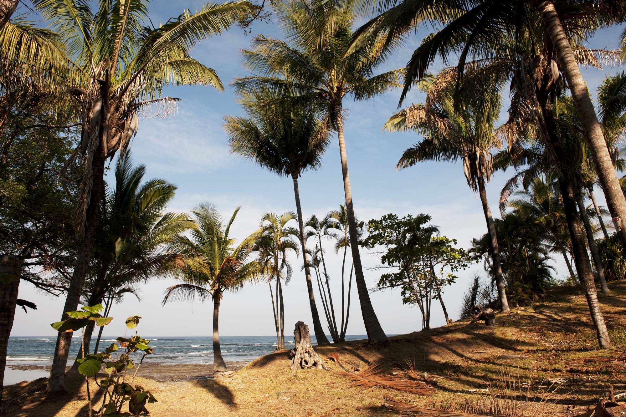 Floating mosque in Kota Kinabalu city on Borneo in Malaysia