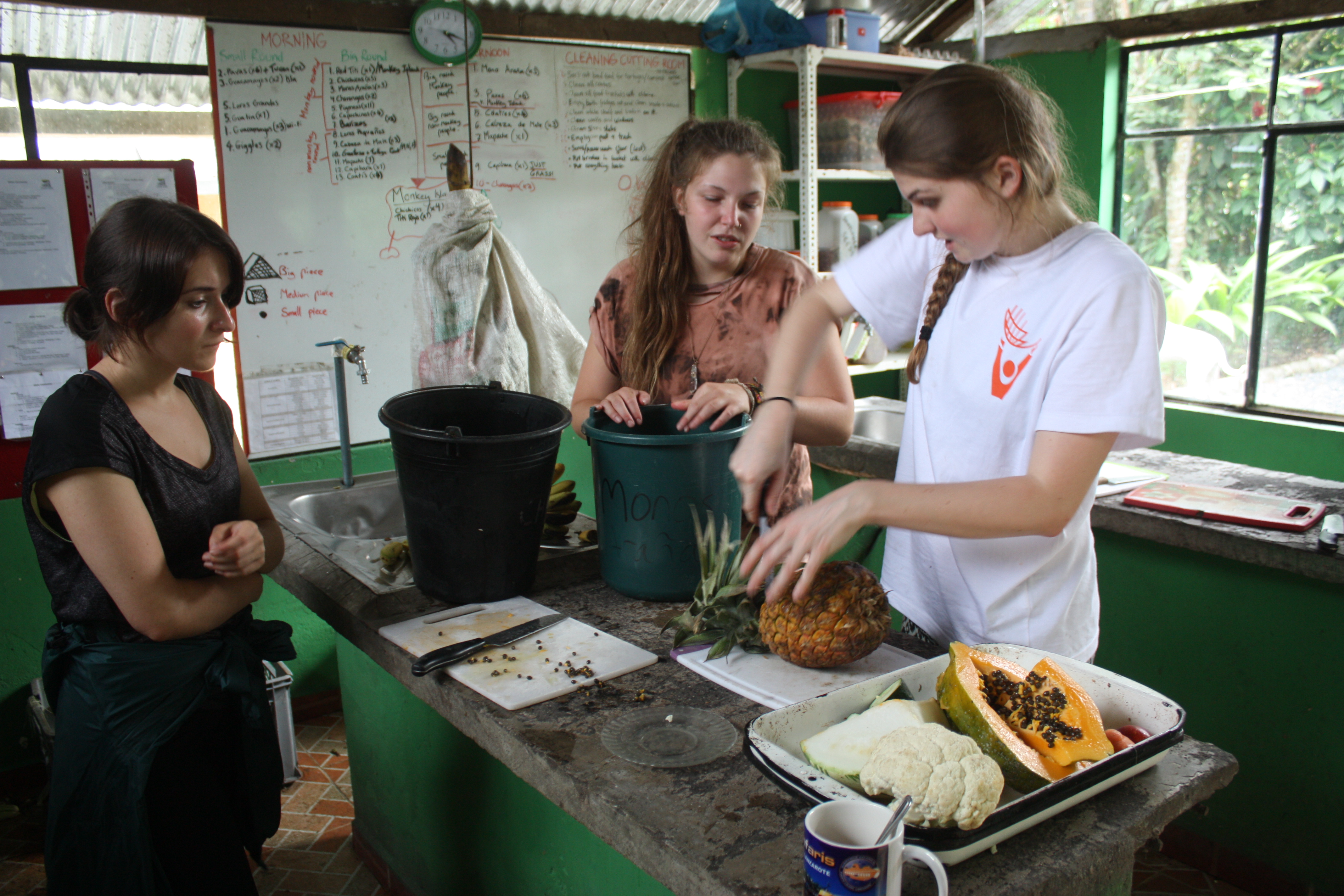 Vapaaehtoistyö Ecuadorissa - KILROY