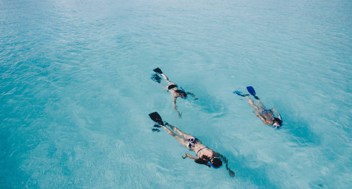 Snorklaajia Malediivien kristallinkirkkaassa merivedessä