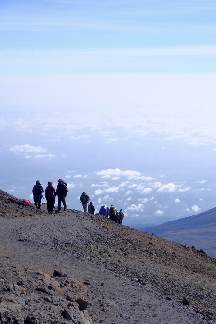 5DE8348E 7EE2 49B7 B637 03D9303D46A6 1 201 A