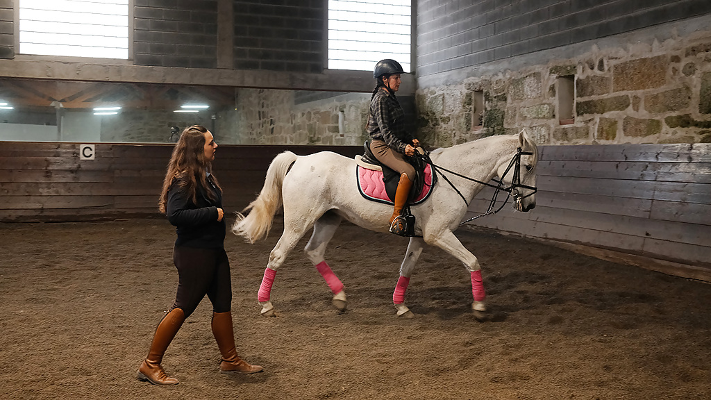 impactrip_opo_horse_therapy_1_1280x720_for_navi_web