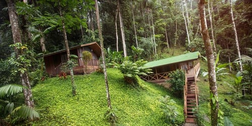 7cf566391196186a40af9263982ad43e