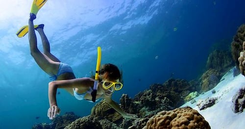 35469-0c5c91cb-7cb2-482d-8516-556d7aeb9d04-thumbnail