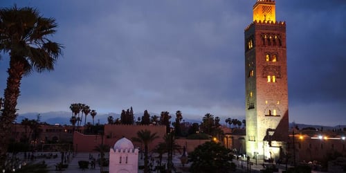 506911fecf277058c067e781b7a95664