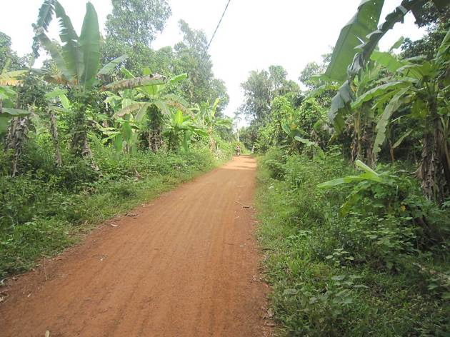 road-to-village