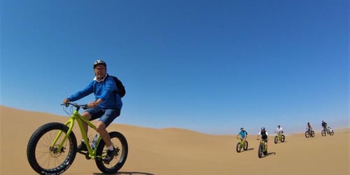 1d8450a917a1c254d6cc8eb88af0472f