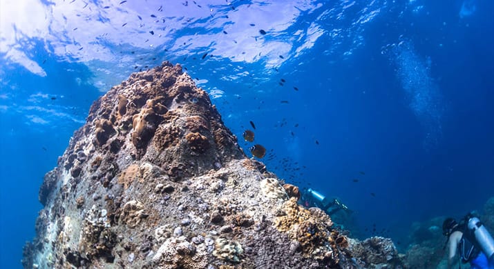 1_bv-product-web-gallery-uw-001