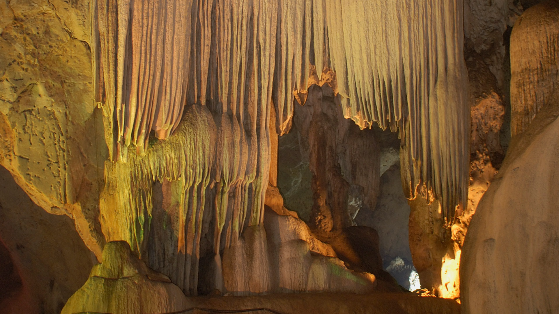 546-codan-prague-koneprusy