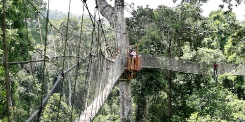 fe6ea5d8222128cbdb6f7eb75dd98582