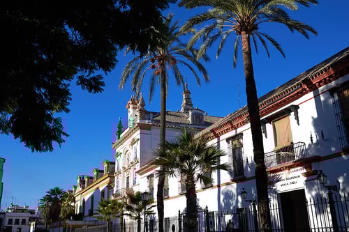 2000-hospital_de_la_caridad2