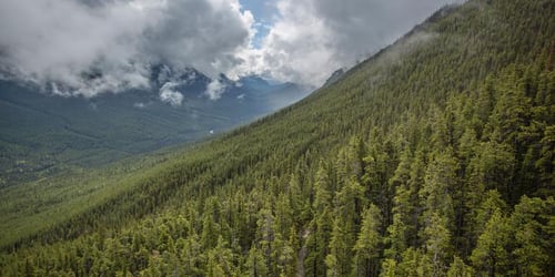 1843f26e67ea86d96175a713072e885c