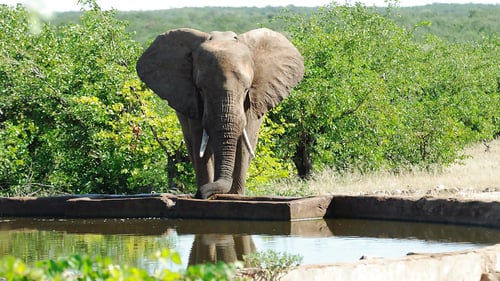 save_botswana_1_1280x720_for_navi_web