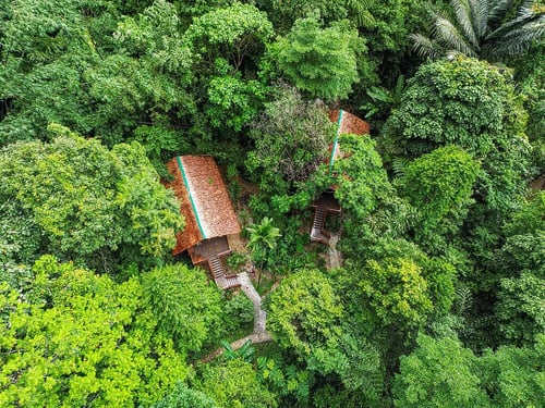 jungle_triple-treehouse-our-jungle-house_gallery_f