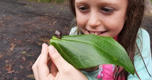 22308-a6f7fa97-31bf-4c3b-9e29-59ceef33e629-thumbnail