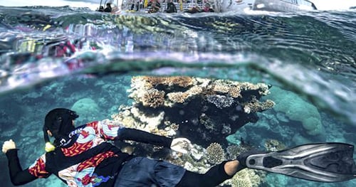 31611-eed78141-98ba-40de-a740-b91a22649b4c-thumbnail