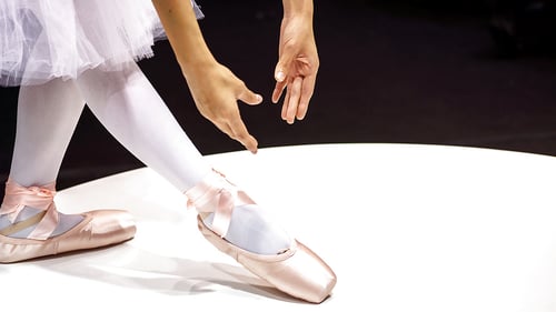 287-excalibur-hungary-budapest-opera-visit