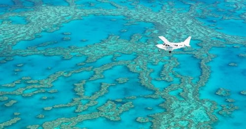 28866-ee9d1183-7bcb-495d-9710-596d3c8cc3ab-thumbnail