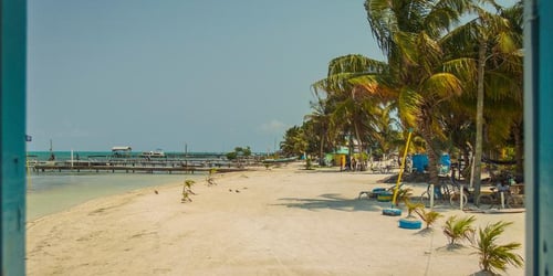 bf908782c0475984f68ef7292c3d5429