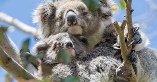 32820-9255206b-9fb9-4974-8ea9-838539bf5697-thumbnail