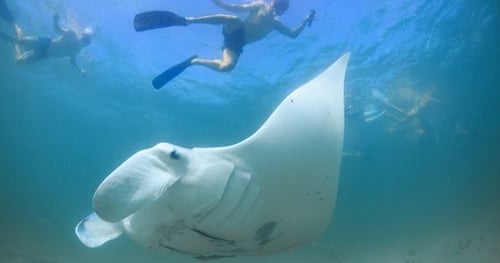 29832-e8202f0f-f6fa-4346-9b6c-ea0990294217-thumbnail