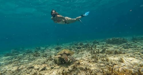 40439-ca2f2d27-6b0a-4093-83b3-d7be67045f40-thumbnail