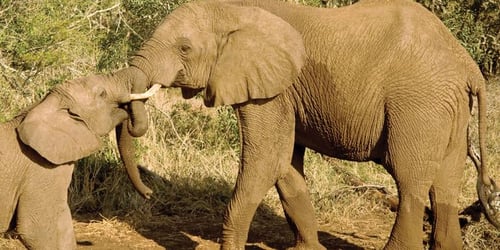 a8f0b26242a28198fa35758e055999a4