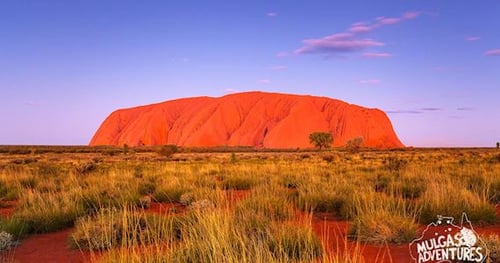 40348-5beb1374-91b7-4e63-9ec0-072866d06642-thumbnail