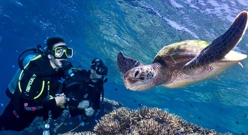7_Australia_Great_Barrier_Reef