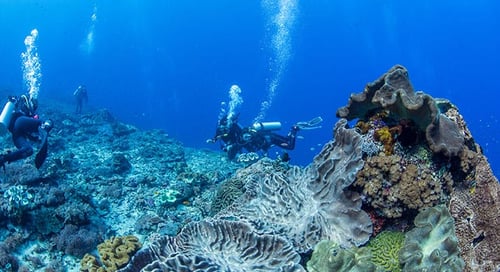 1_Lembongan-Webphoto_0032