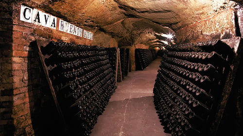 52-iberinbound-barcelona-caves-codorniu