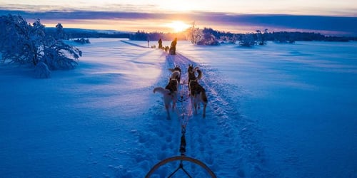 6ab3f9cc76b40bacf47d38320697fb74