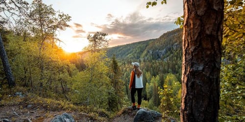 c00036edc5bec6ddd89d81d3fcf7e312