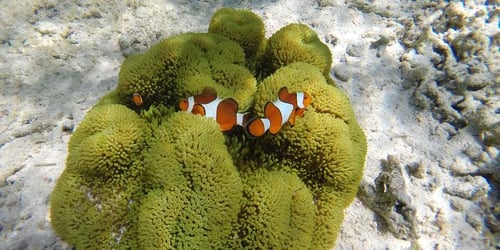 563b4747caf7c6006a8af64f67cf7445