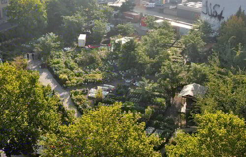 1957-the_prinzessinnengarten_in_berlin_-_guided_garden_tour