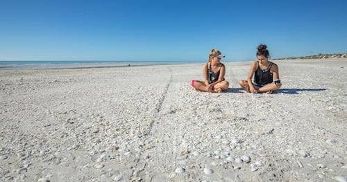 35988-6419d9de-738b-4ceb-8857-2162641a9b1f-thumbnail