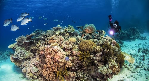 11_Australia_Great_Barrier_Reef