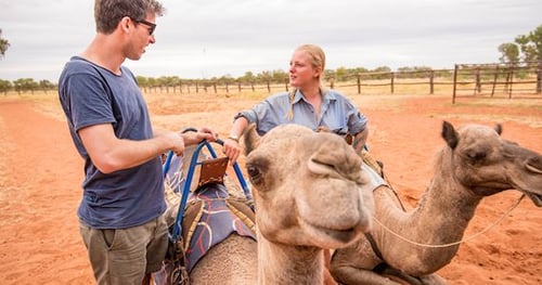 36658-da008253-e351-4e61-ad1d-06982f9fa2f7-thumbnail