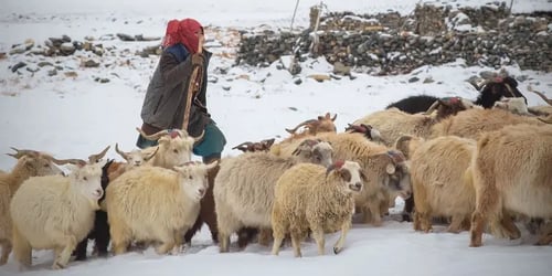 ec210b08a4c406296bd4696c349c5e03