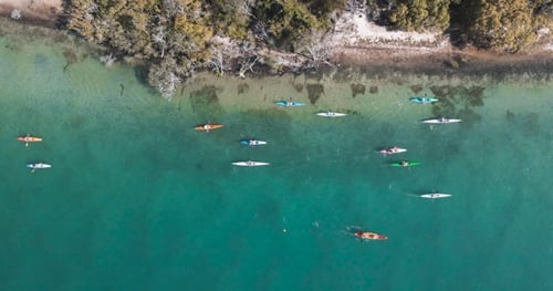 42350-e674f8d6-9766-45f8-a0e1-5bf7fa2c3d1e-thumbnail